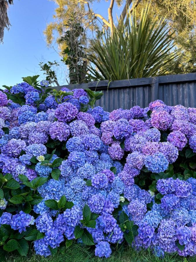 Central Garden Guest House Motueka Exterior foto
